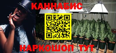 крисы Аргун