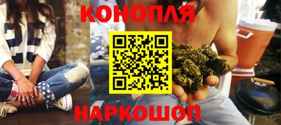 крисы Аргун