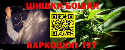 крисы Аргун