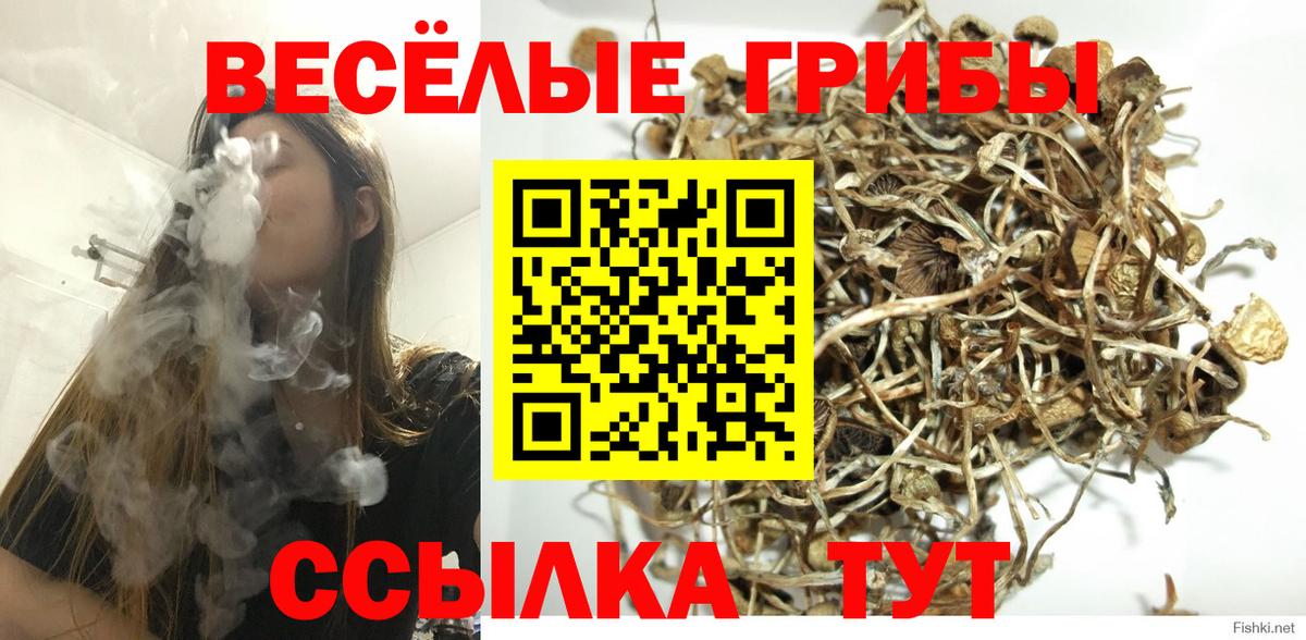 Богородск  Псилоцибиновые грибы мухоморы  Вход с VPN 